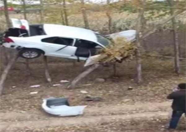 hiding between two trees in the air see video 