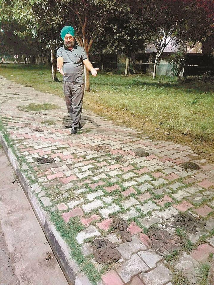 cleanliness on roads