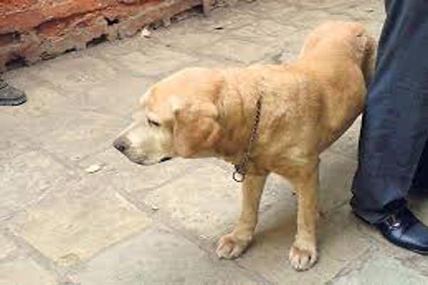 railway station security