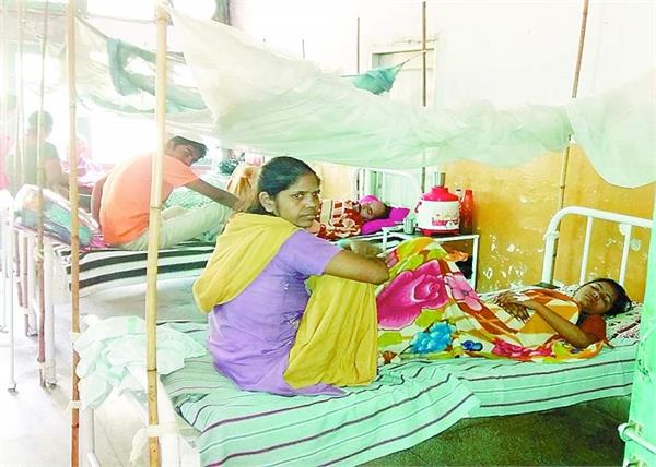 dengue and typhoid outbreak in district