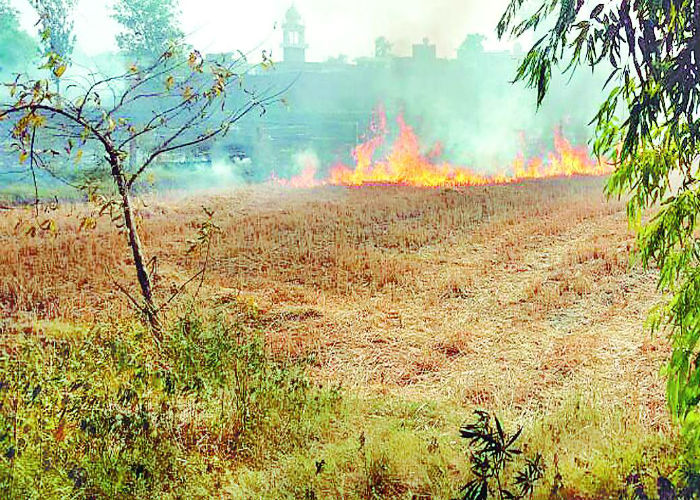 ਹੁਣ ਕਿਸਾਨਾਂ ਨੂੰ ਪਰਾਲੀ ਸਾੜਨ ਤੋਂ ਰੋਕਣਗੇ ਅਧਿਆਪਕ