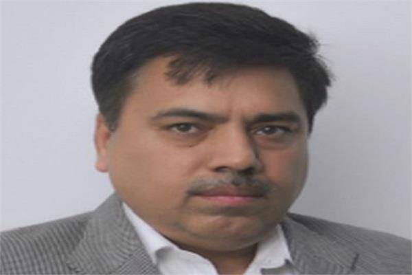 sit msg ceo