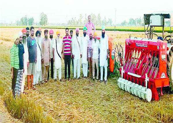 farmers  cedars  uses