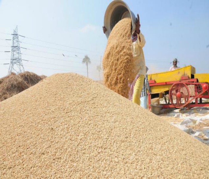 ਜ਼ਿਲੇ ''ਚ 5269 ਮੀਟ੍ਰਿਕ ਟਨ ਝੋਨੇ ਦੀ ਹੋਈ ਖਰੀਦ : ਡੀ. ਸੀ.