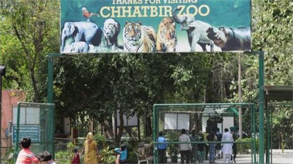 entry free in chattbir zoo till 8 october