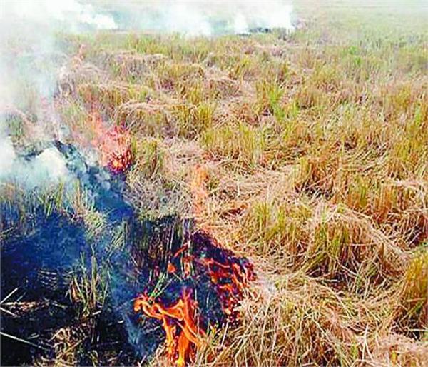 national green tribunal farmer