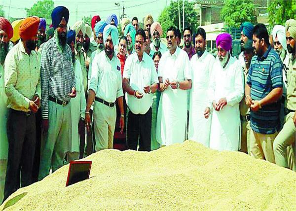 paddy  government  grain market