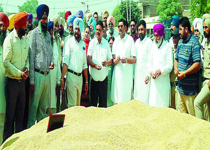 ਡੀ. ਸੀ. ਨੇ ਅਨਾਜ ਮੰਡੀ ਪਹੁੰਚ ਕੇ ਸ਼ੁਰੂ ਕਰਵਾਈ ਝੋਨੇ ਦੀ ਸਰਕਾਰੀ ਖਰੀਦ