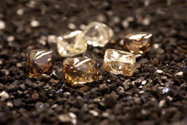 vedanta  adani may bid for bunder diamond project in madhya pradesh