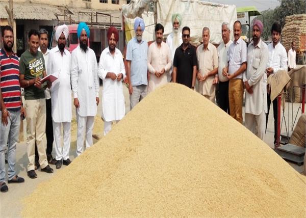 grain market  sadiq  basmati