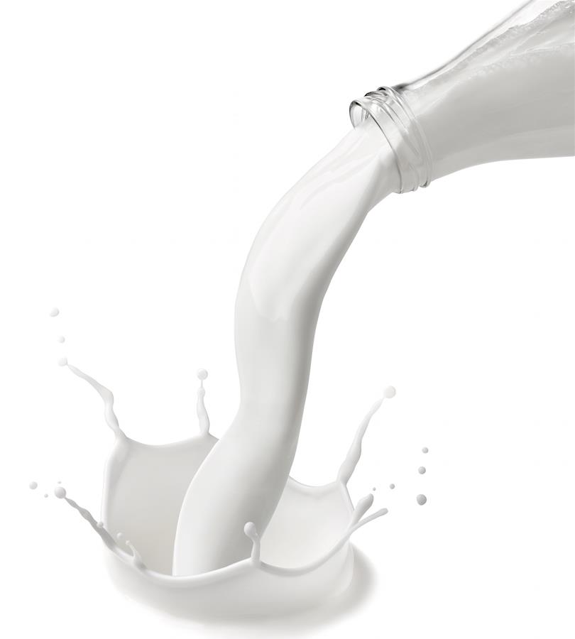 government sticks to the price of milk