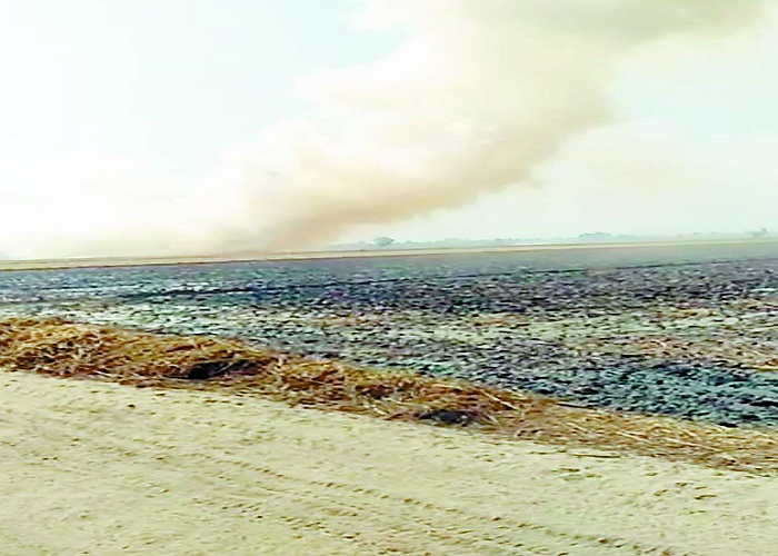 ਪਰਾਲੀ ਸਾੜਨ ਨਾਲ ਪੈਦਾ ਹੋਇਆ ਧੂੰਆਂ ਮਨੁੱਖੀ ਸਿਹਤ ਲਈ ਹੁੰਦੈ ਹਾਨੀਕਾਰਕ