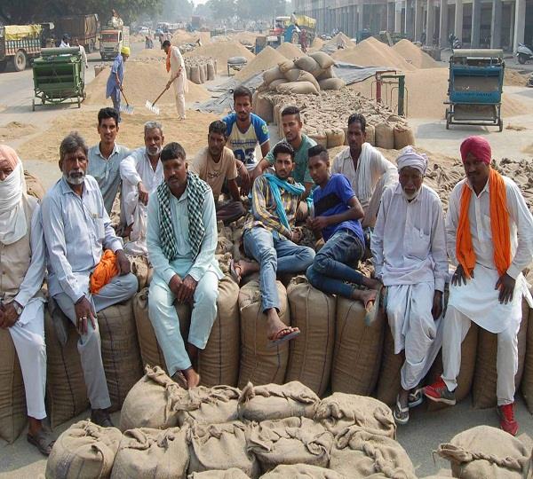 ਝੋਨੇ ਦੀ ਫਸਲ ਸਿੱਧਾ ਸ਼ੈਲਰ ''ਚ ਜਾਣ ਨਾਲ ਗੱਲਾ ਮਜਦੂਰ ਹੋਏ ਖਾਲੀ