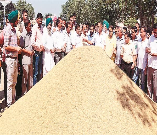nabha mandi