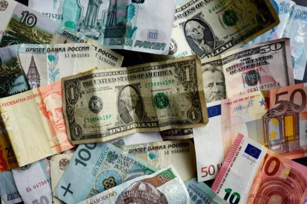 largest increase in india  s foreign exchange purchases  us