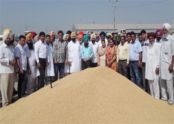 start of government procurement of paddy