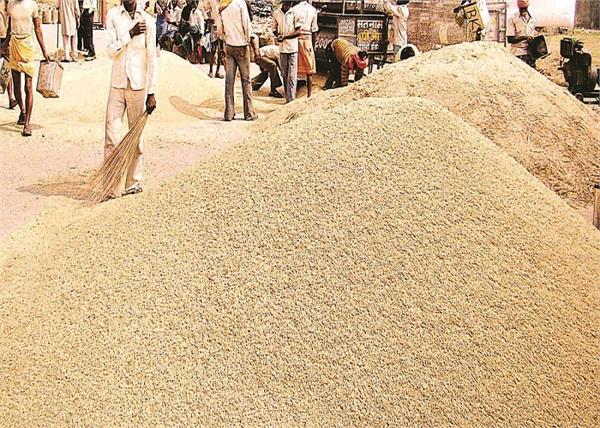 streamlining of paddy