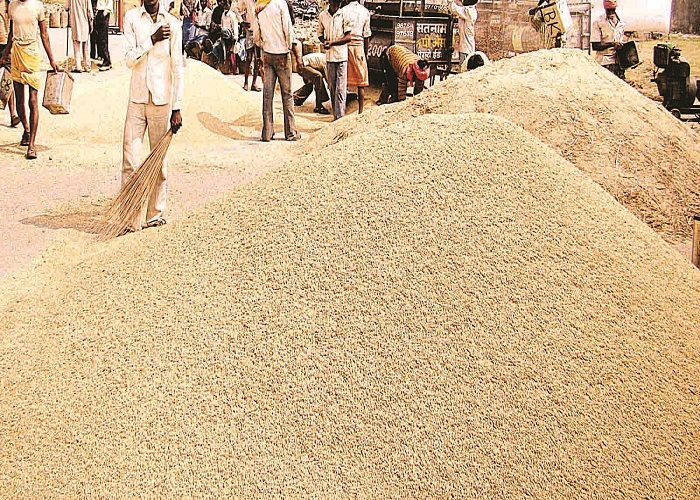 ਝੋਨੇ ਦੀ ਸੁਚਾਰੂ ਖਰੀਦ ਲਈ ਨੋਡਲ ਅਧਿਕਾਰੀਆਂ ਦੀਆਂ ਲਾਈਆਂ ਡਿਊਟੀਆਂ : ਡੀ. ਸੀ.