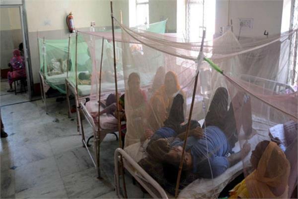 dengue  rising effect