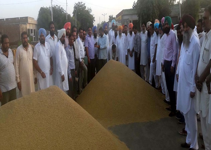 ਮੰਡੀਆਂ ''ਚੋਂ ਫਸਲ ਦਾ ਇਕ-ਇਕ ਦਾਣਾ ਖਰੀਦਿਆ ਜਾਵੇਗਾ - ਕਾਕਾ ਲੋਹਗੜ੍ਹ