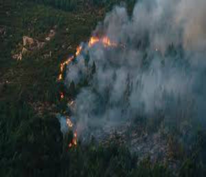 ਡੀ. ਸੀ. ਦੇ ਸਾਹਮਣੇ ਕਿਸਾਨਾਂ ਨੇ ਪਰਾਲੀ ਨੂੰ ਨਾ ਸਾੜਨ ਦੀ ਖਾਧੀ ਸਹੁੰ