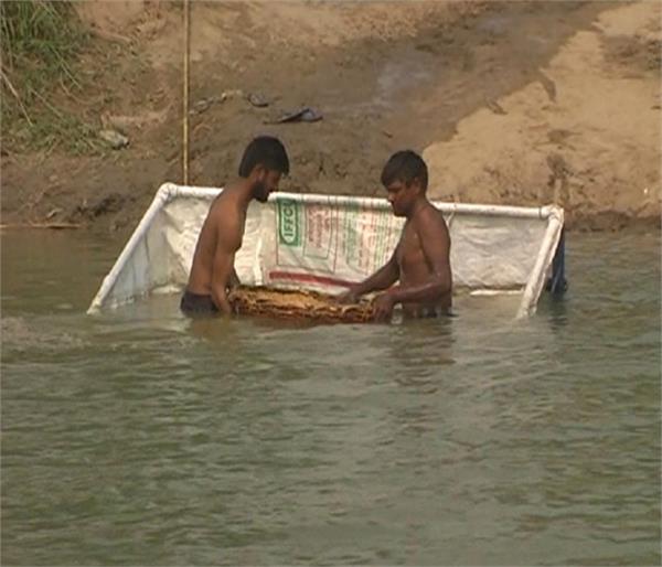 ferozepur river satluj