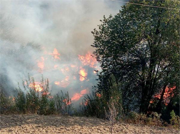 ਲੋਕਾਂ ਦੀਆਂ ਅੱਖਾਂ ਸਾਹਮਣੇ ਸੜ ਕੇ ਸੁਆਹ ਹੋਏ ਘਰ