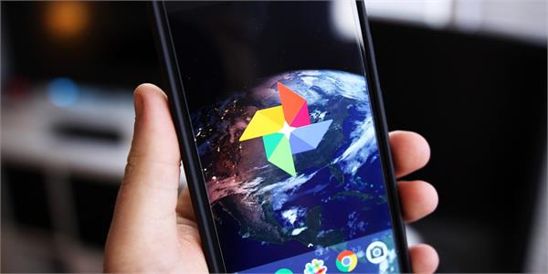 google photos will now recognize the animals