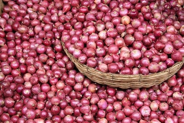increased prices of onion prices