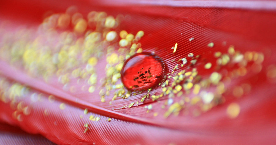 ਪੂਰੀ ਦੁਨੀਆ ''ਚ ਸਿਰਫ 40 ਲੋਕਾਂ ਦਾ ਇਹ ਬਲੱਡ ਗਰੁੱਪ ਤੇ 9 ਡੋਨਰ