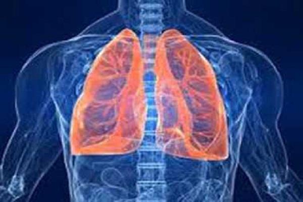 delhi  air pollution  child lungs
