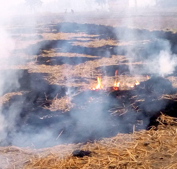 ਮੌਸਮੀ ਮਿਜ਼ਾਜ ਅੱਗੇ ਬੇਵੱਸ ਹੋਇਆ ਕਿਸਾਨ