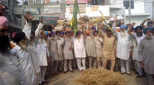 in front of the eye witnessing team  farmers have foiled