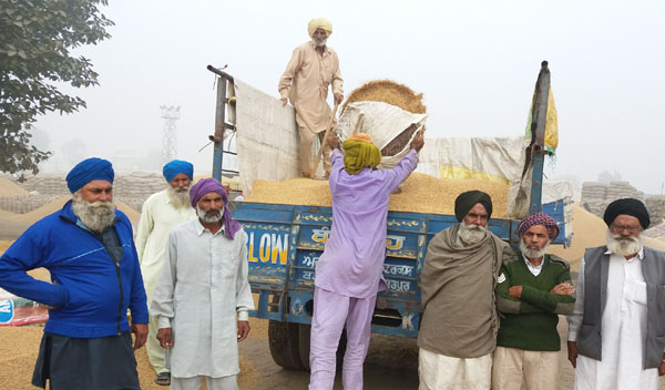 ਨਮੀ ਜ਼ਿਆਦਾ ਹੋਣ ਕਾਰਨ ਕਿਸਾਨ ਮੰਡੀਆਂ ''ਚੋਂ ਝੋਨਾ ਚੁੱਕਣ ਲਈ ਮਜਬੂਰ