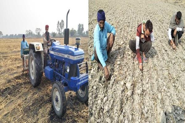 600 kg of wheat crossover due to rain  farmers worried over worries