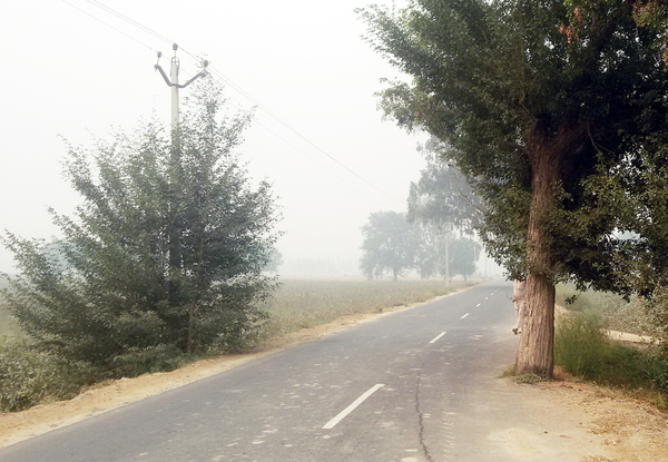 ਸੜਕ ''ਚ ਖੜ੍ਹੀ ਟਾਹਲੀ ਦੇ ਰਹੀ ਹਾਦਸਿਆਂ ਨੂੰ ਸੱਦਾ