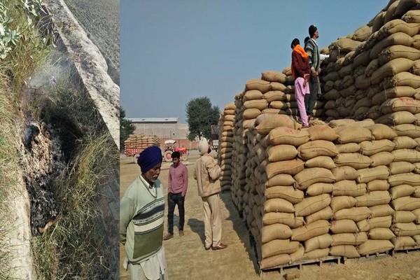 out of the shellers  125 bags of paddy stolen