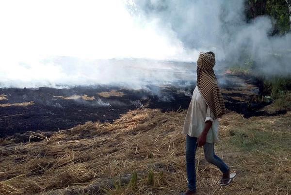 release of farmers   racket