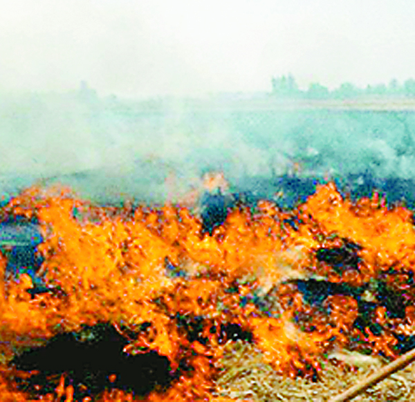 ਪਰਾਲੀ ਸਾੜਨੀ ਸ਼ੌਕ ਨਹੀਂ, ਮਜਬੂਰੀ ਹੈ ਕਿਸਾਨਾਂ ਦੀ!