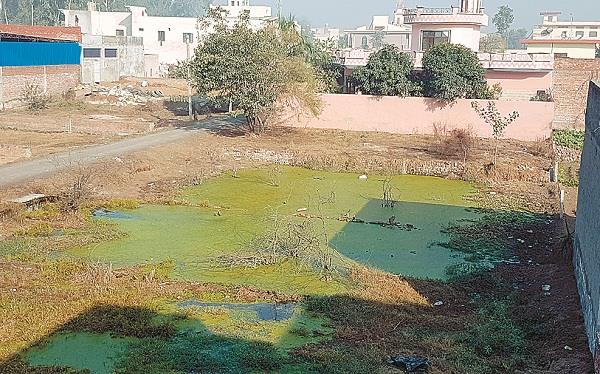 no arrangement by municipal council for sewerage water drainage