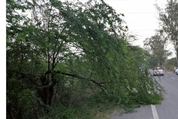 ਮੀਂਹ ਨੇ ਲੋਕਾਂ ਨੂੰ ਸਮੋਗ ਤੋਂ ਦਿੱਤੀ ਭਾਰੀ ਰਾਹਤ