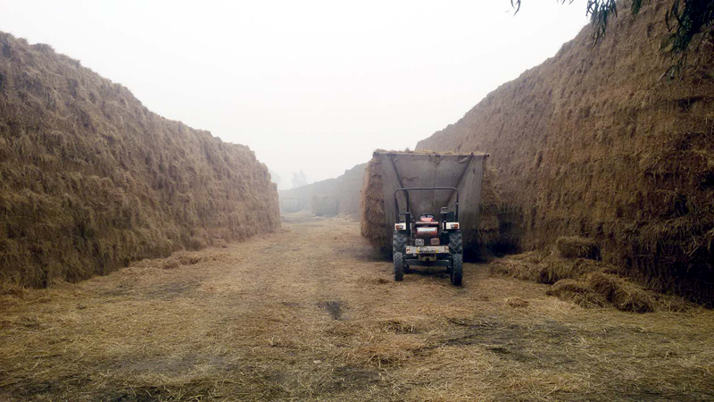 ਬਾਇਓਮਾਸ ਪਾਵਰ ਪਲਾਂਟਾਂ ਤਕ ਪਰਾਲੀ ਪਹੁੰਚਾਉਣੀ ਕਿਸਾਨ ਮੰਨ ਰਹੇ ਹਨ ਘਾਟੇ ਵਾਲਾ ਸੌਦਾ