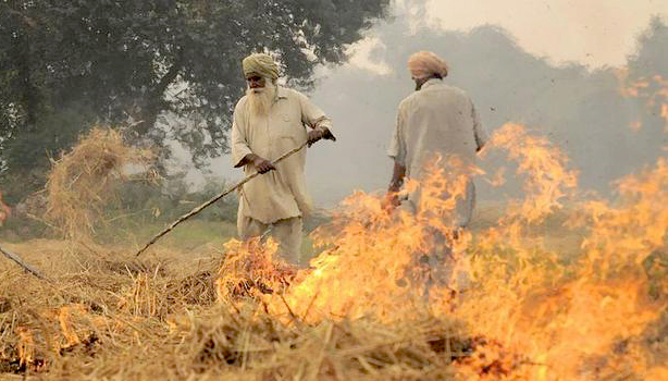 ਪਰਾਲੀ ਸਾੜਨ ਦੇ ਮਾਮਲੇ ''ਚ ਦੋਗਲੀ ਨੀਤੀ ਛੱਡੇ ਕੈਪਟਨ ਸਰਕਾਰ : ਰਾਜੇਵਾਲ