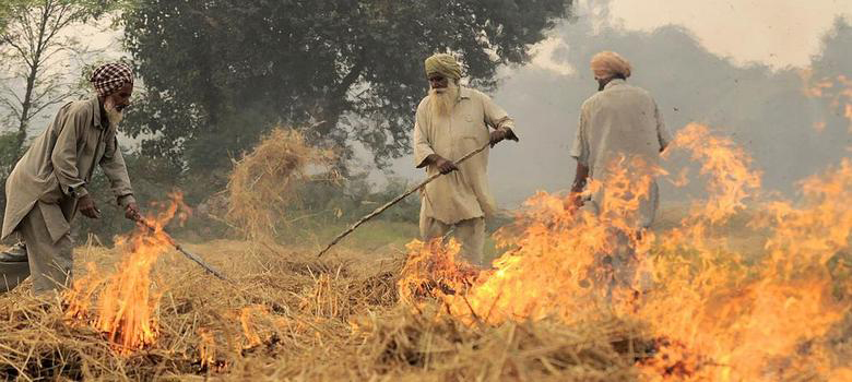 ਮਸਲਾ ਪਰਾਲੀ ਸਾੜਨ ਦਾ : ਖੇਤੀ ਮਾਹਿਰ ਸੁਪਰ ਸਟਰਾਅ ਮੈਨੇਜਮੈਂਟ ਸਿਸਟਮ ਦੇ ਪੱਖ ''ਚ