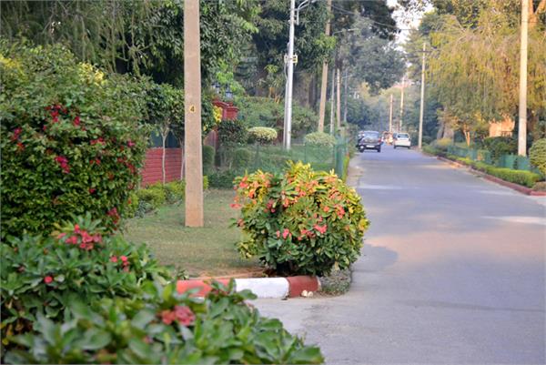 garden area will be removed