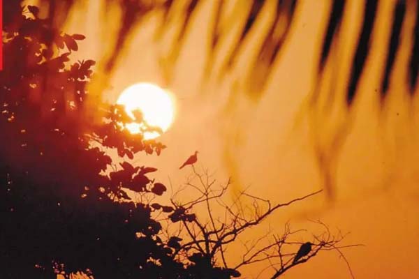 ਹਿਮਾਚਲ ਦੀਆਂ ਪਹਾੜੀਆਂ ''ਤੇ ਬਰਫਬਾਰੀ, ਚੰਡੀਗੜ੍ਹ ''ਚ ਚੱਲਦੀਆਂ ਰਹੀਆਂ ਠੰਡੀਆਂ ਹਵਾਵਾਂ