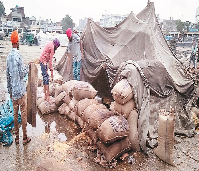 ਮਾਲਵਾ ''ਚ ਭਰਵੀਂ ਬਾਰਿਸ਼, ਕਿਤੇ ਆਫਤ-ਕਿਤੇ ਰਾਹਤ