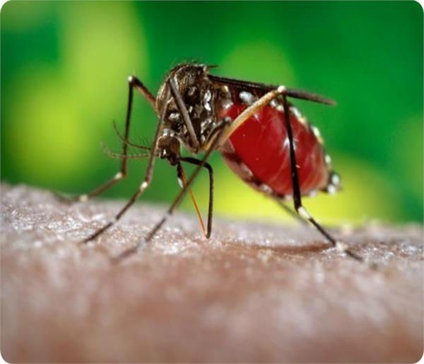 death of homeguard due to dengue