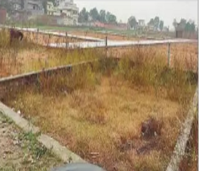 2 ਰਾਤਾਂ ''ਚ ਹੀ ਕੱਟ ਦਿੱਤੀ ਨਾਜਾਇਜ਼ ਕਾਲੋਨੀ, ਨਿਗਮ  ਨੂੰ ਲਾਇਆ ਕਰੋੜਾਂ ਦਾ ਚੂਨਾ