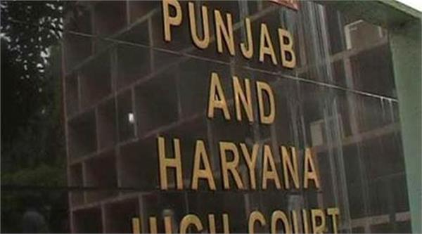 punjab   haryana highcourt
